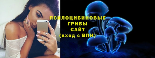 дживик Горнозаводск