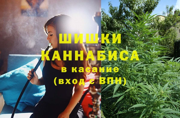 дживик Горнозаводск