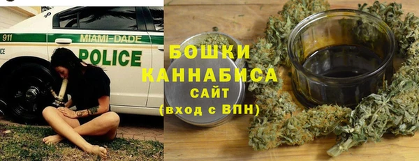 дживик Горнозаводск