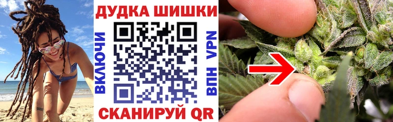 Марихуана сатива  hydra зеркало  Рубцовск 